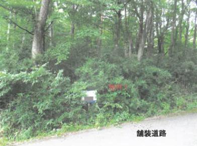 那須郡那須町大字高久乙字遅山
３３７５番２０４３の競売物件