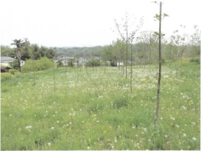 安中市安中三丁目字東町
３４７番２の競売物件