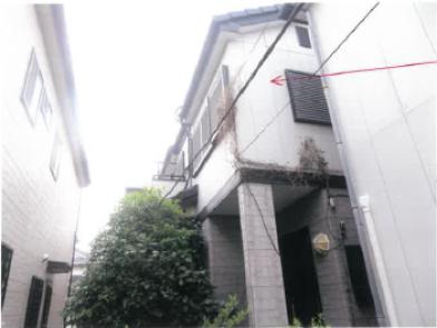 高崎市岩押町
１２３番３４の競売物件