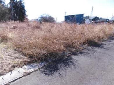 邑楽郡邑楽町大字鶉字東耕地
２１９番１の競売物件