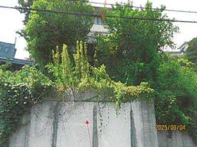 田方郡函南町上沢字笹洞
９５２番３９の競売物件