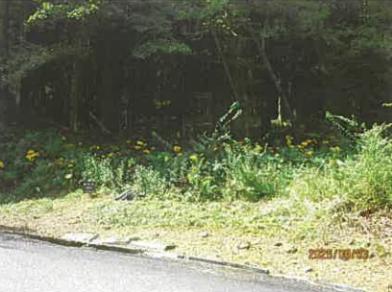 伊東市池字上野
８９５番２７の競売物件