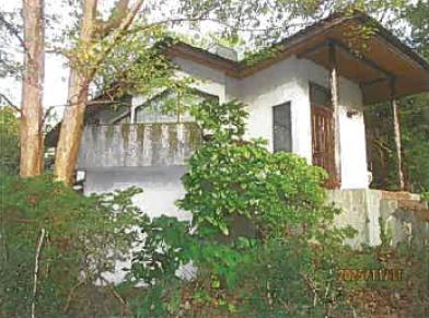 伊東市池字下林
８９３番１３６の競売物件