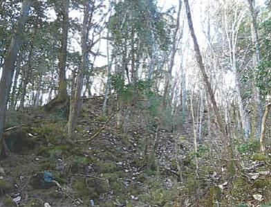 裾野市須山字藤原
２２５５番２０７１の競売物件