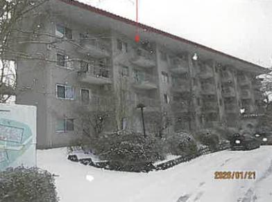 駿東郡小山町須走字大尾根　１１２番地１９の競売物件