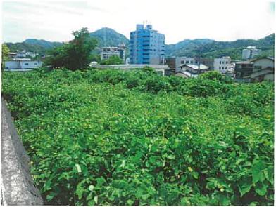 伊豆の国市長岡字東ヶ久保
１０１７番２の競売物件