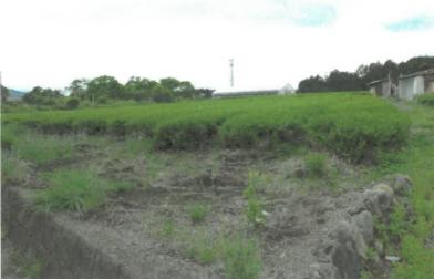 富士宮市山本字長峯
５８７番４の競売物件