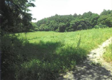 富士宮市人穴字東荻平
６７５番２３４の競売物件