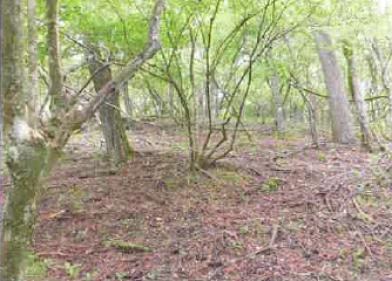 南都留郡山中湖村平野字以来
１２６５番７の競売物件