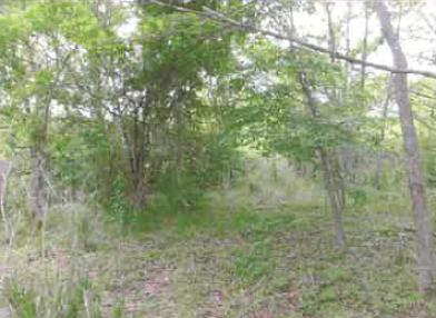 南都留郡山中湖村平野字下原
８４１番の競売物件