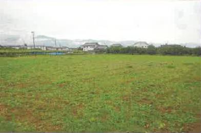 笛吹市春日居町下岩下字中川田
１１３番の競売物件