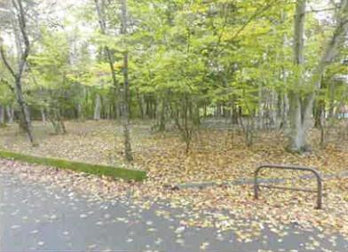 南都留郡山中湖村平野字中ノ砂
１５７５番の競売物件