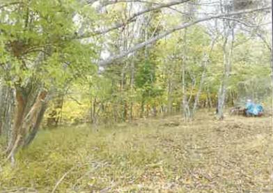 南都留郡山中湖村平野字宮脇
１７９５番の競売物件