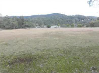 南都留郡山中湖村平野字以来
１３００番１の競売物件