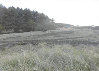 南都留郡山中湖村平野字吉政
６７８番１４の競売物件