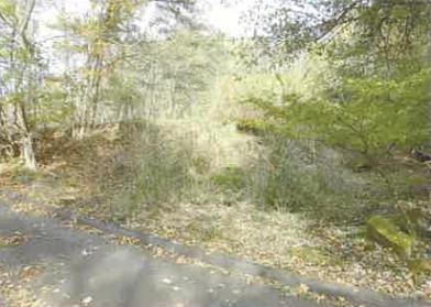 南都留郡山中湖村平野字中尾
１７１９番２の競売物件