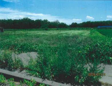 松本市梓川梓
２６８６番１の競売物件