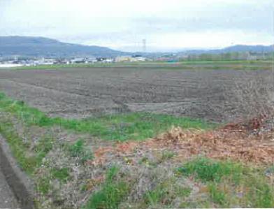 松本市大字笹賀
２４１９番の競売物件