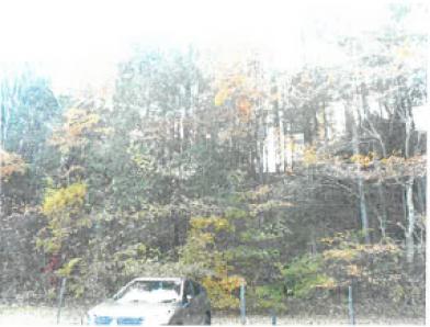 北佐久郡軽井沢町大字長倉字赤岩
２１４８番９３の競売物件