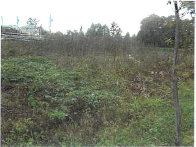 小諸市己字高峯
７３番２の競売物件