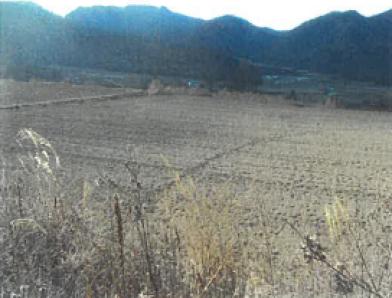 南佐久郡川上村大字原
５８５番１４７の競売物件