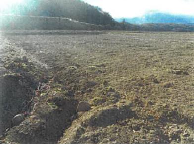 南佐久郡川上村大字原
７４３番２の競売物件