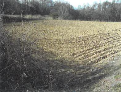 南佐久郡川上村大字原
７７９番２１の競売物件