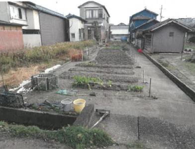 新潟市西蒲区曽根字六ノ町
２５５番１の競売物件