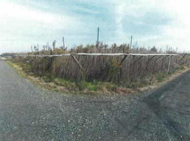 新潟市南区大郷字潟向
４６２４番２の競売物件