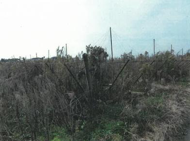 新潟市南区大郷字潟向
４６３２番の競売物件