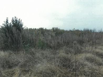 新潟市南区大郷字宮浦
４７２５番の競売物件