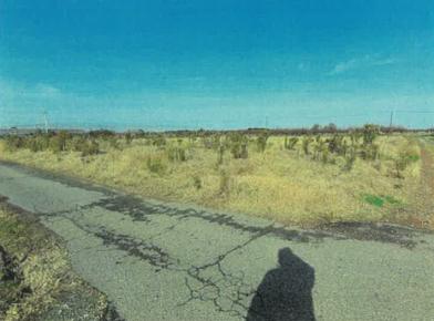 新潟市南区大郷字潟向
４５５３番１の競売物件