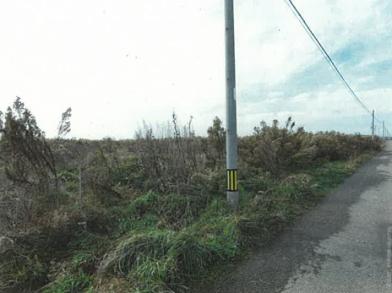 新潟市南区大郷字潟向
４５６７番の競売物件