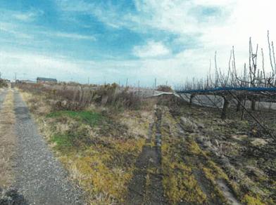 新潟市南区大郷字潟向
１８０９番２の競売物件