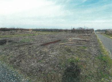 新潟市南区大郷字潟向
２０３６番の競売物件