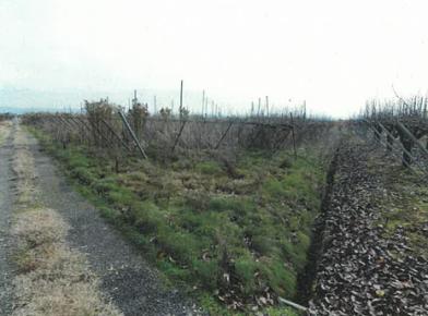 新潟市南区大郷字曽根
２９３８番の競売物件