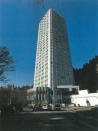 南魚沼郡湯沢町大字三国字上ノ山304番地2の競売物件