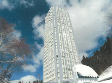 南魚沼郡湯沢町大字三国字上ノ山304番地2の競売物件