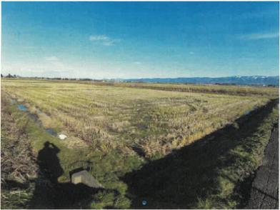 長岡市深沢町字北野
１０６６番１の競売物件