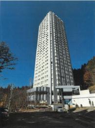 南魚沼郡湯沢町大字三国字上ノ山３０４番地２の競売物件