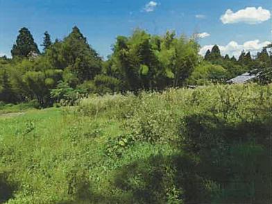 三条市上大浦字高山
１５１１番２の競売物件