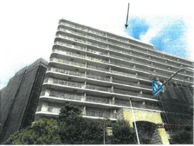 大阪市平野区長吉長原東二丁目314番地13、309番地12、309番地2、314番地10、309番…の競売物件