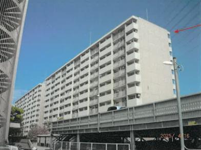 大阪市住之江区新北島三丁目９番地２０、９番地２１、９番地１６、９番地１７、９番地１９、９番地１８の競売物件