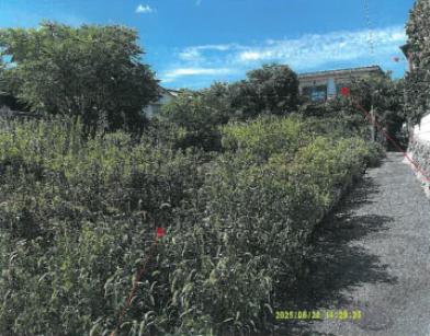 東大阪市六万寺町一丁目
７１２番の競売物件