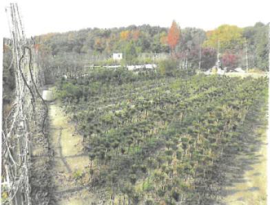 池田市東山町
７２７番１の競売物件