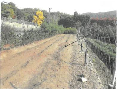 池田市吉田町
１６４番１の競売物件