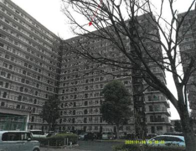 東大阪市日下町四丁目
１２９６番１の競売物件
