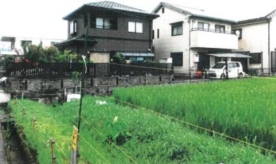 舞鶴市八反田南町　４２番地２の競売物件