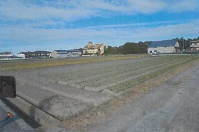 南あわじ市松帆古津路字西原
９８２番の競売物件