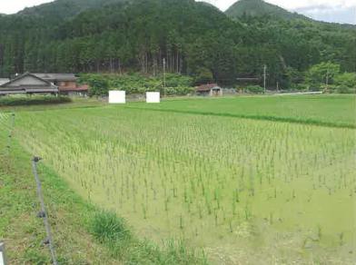 丹波市青垣町惣持字横次
２７番の競売物件